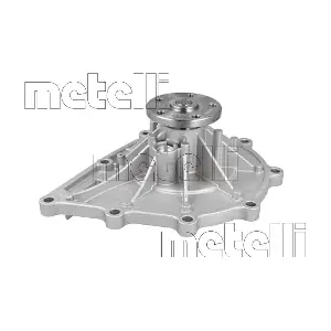 24-1509 METELLI