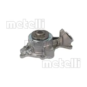 24-1481 METELLI