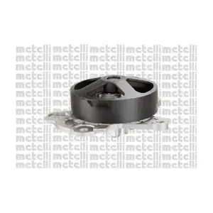 241134 METELLI