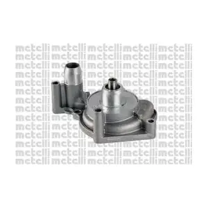24-1163 METELLI