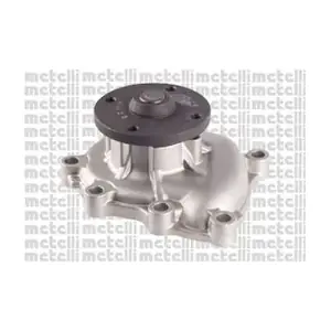 24-1117 METELLI