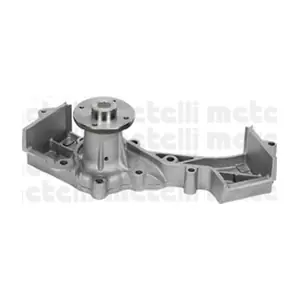 24-0813 METELLI