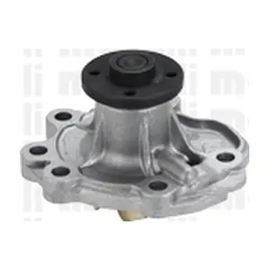 24-1052 METELLI