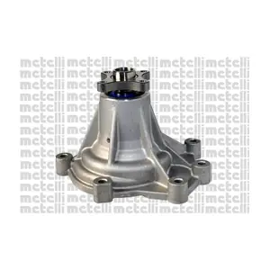 241055 METELLI