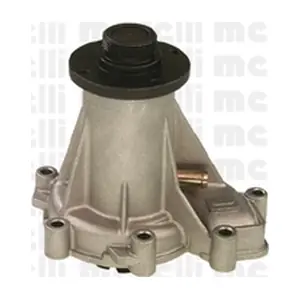 24-0583 METELLI