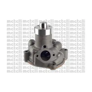 24-0031 METELLI