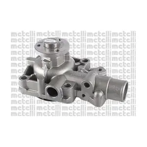 241161 METELLI