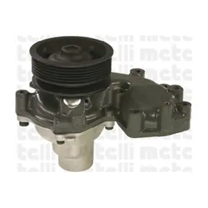 24-0622 METELLI