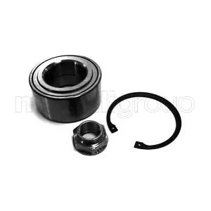 19-7084 METELLI