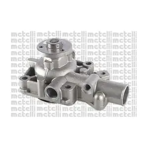 24-0499 METELLI