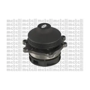 24-1199 METELLI