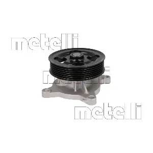 24-1462 METELLI
