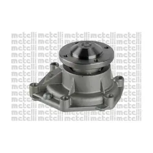 24-1334 METELLI