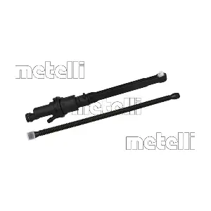 550209 METELLI