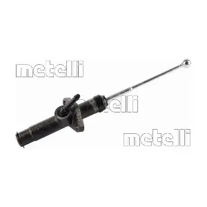 550107 METELLI
