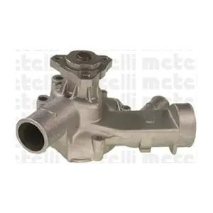 24-0233 METELLI