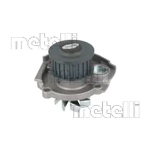 24-0693 METELLI