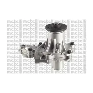 24-1154 METELLI