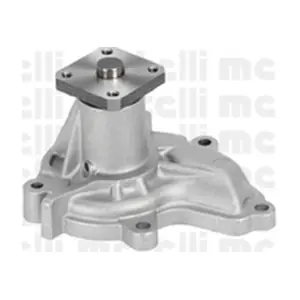 24-0703 METELLI