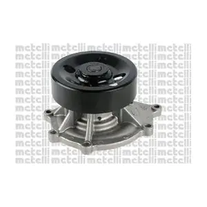 24-1243 METELLI