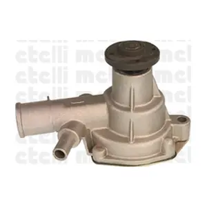 24-0212 METELLI