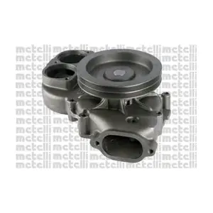 24-1321 METELLI