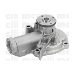 24-1003 METELLI