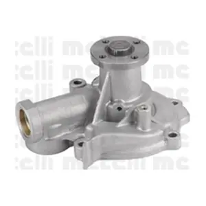 24-0934 METELLI