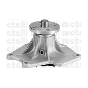 24-0930 METELLI