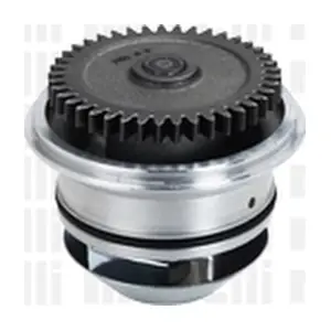 24-1011 METELLI