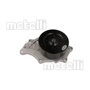 24-1291 METELLI