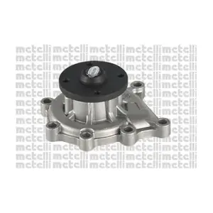 24-1195 METELLI
