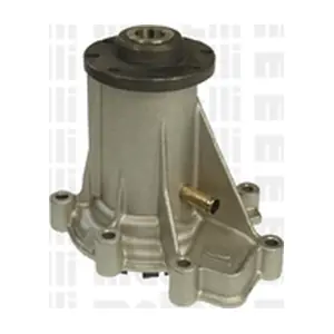 24-0706 METELLI