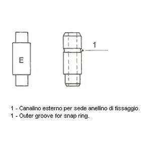 010545 METELLI