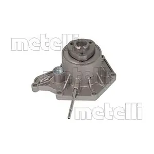 24-1228 METELLI