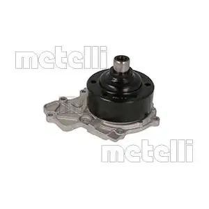 24-1268 METELLI