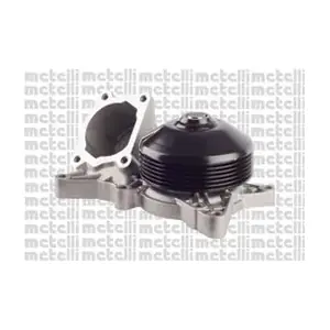 24-1118 METELLI