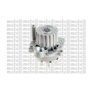 24-0875 METELLI