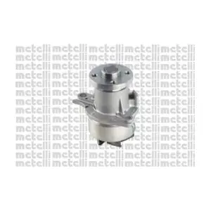 24-1238 METELLI