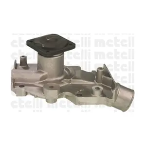 24-0509 METELLI