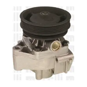 METELLI 240601