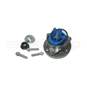 19-2839 METELLI