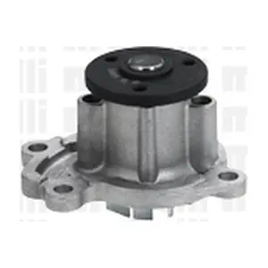METELLI 24-1065