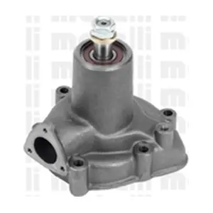 24-0869 METELLI
