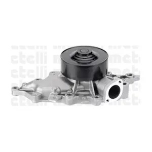 24-0891 METELLI