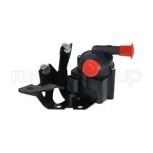 25-0039 METELLI