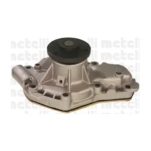 24-0536 METELLI