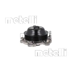 24-1485 METELLI