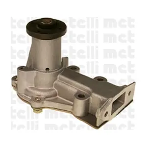 24-0305 METELLI
