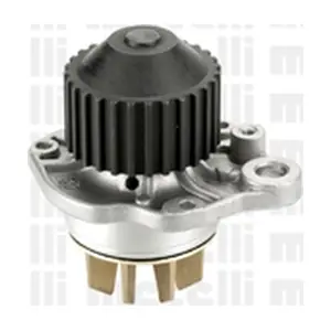 24-0653 METELLI